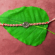 Om O03 Rakhi-Silver Rakhi